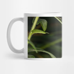 Monarch Caterpillar Mug